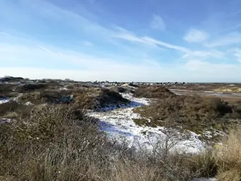 De Panne in de sneeuw (België)